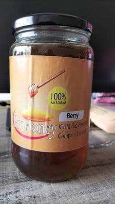 Prohoney Berry Honey 1 Kg