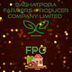 BAGHATPORA FARMERS  PRODUCER COMPANY LIMITED