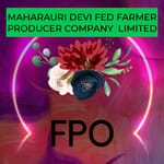 MAHARAURI DEVI FED FARMER PRODUCER COMPANY LIMITED
