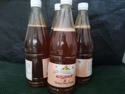 Forest Honey (1 Kg)