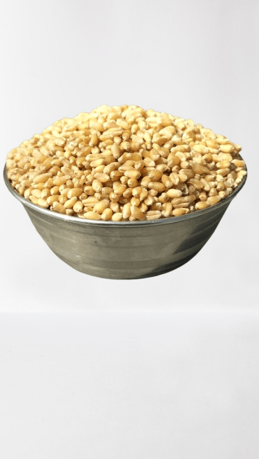 Organic wheat 10kg