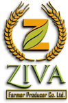 Ziva Farmer Producer Company Limited